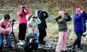 Wildly Wintertime Day Camp