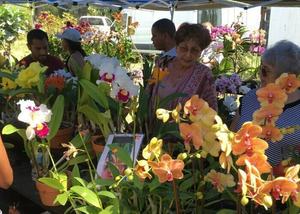 Sawgrass Nature Center’s Bi-annual Orchid and Plant Festival