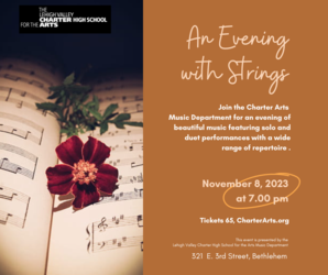 An Evening with Strings