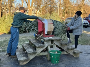 Christmas Tree and Wreath Sale