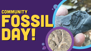 Community Fossil Day