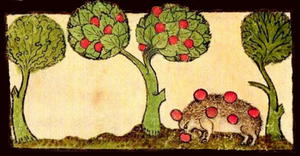 The Auld Apple Tree: A Winter Solstice Celebration