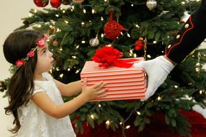 Loudoun Symphonic Winds Concert: Toys for Tots Celebration