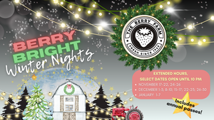 Berry Bright Winter Nights