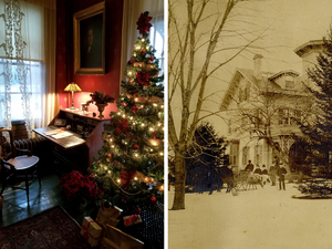 Christmas Tea With the Cranes