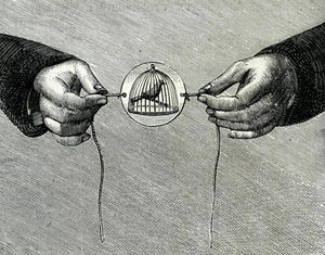 Old-Fashioned Boredom Busters - Thaumatrope!