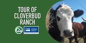 Cloverbud Ranch Tour