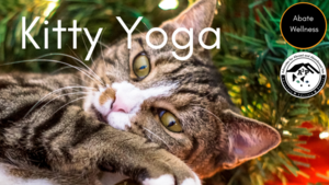 Christmas Kitty Yoga