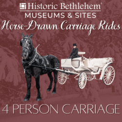 Christmas Carriage Rides
