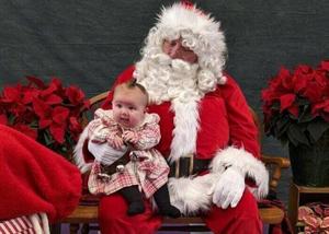 Poinsettia Sale - Denmark Lions club