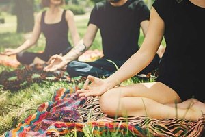 IN-PERSON Nature Infused Yoga at NJA's Scherman Hoffman Wildlife Sanctuary
