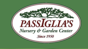 A Garden Talk - “Paint and Pour” Workshop