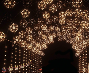 West Chicago Christmas Lights Show at Sonny Acres Farm