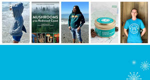 Holiday Sale 2023 - Seacliff