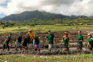 Kākoʻo ʻŌiwi Farm Volunteer Experience: Connect w/ the Land and Community