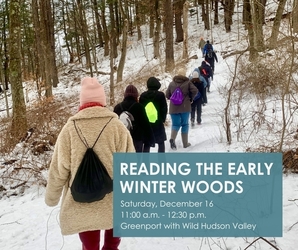 Reading the early winter woods