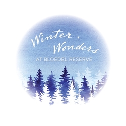 Winter Wonders