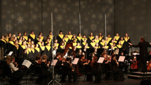St. Charles County Youth Orchestra Winter Concert
