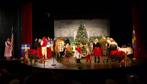 Swedish Council St. Lucia Festival