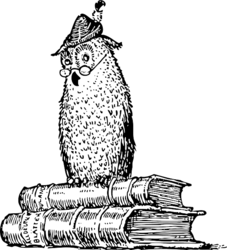 Magical Beasts and Where to Find Them!