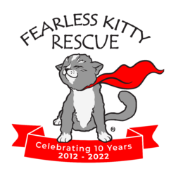 Fearless Kitty Rescue Giving Tuesday Challenge