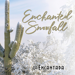 Enchanted Snowfall
