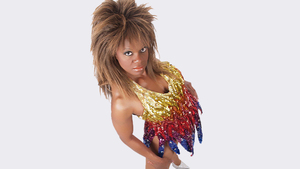 Simply The Best: The Ultimate Tina Turner Tribute