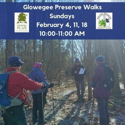 Glowegee Creek Preserve Walks