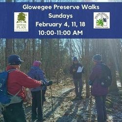 Glowegee Creek Preserve Walks