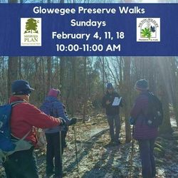 Glowegee Creek Preserve Walks