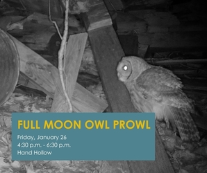 Full Moon Owl Prowl