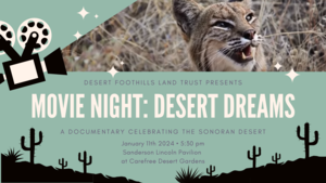 Movie Night: Desert Dreams