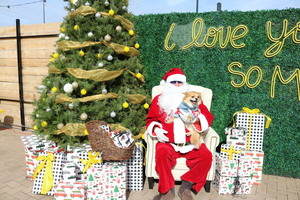 Santa Paws at MUTTS Canine Cantina Austin