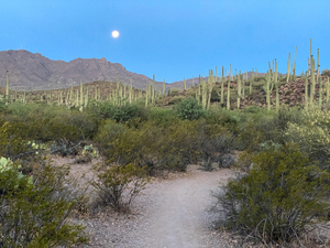 Black Rock Loop at Sweetwater Preserve Nature Hike with a Geology Twist