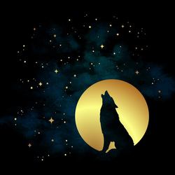Full Wolf Moon Hike - Jan 25th