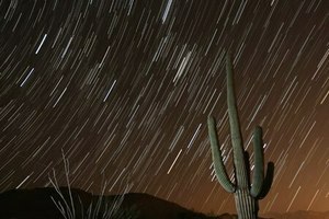 Stargazing Historic Canoa Ranch