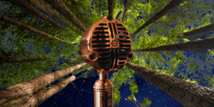 Redwood Nights : Storytelling Under the Stars : New Year's Eve Event