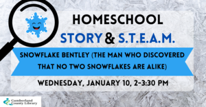 Homeschool Story & STEAM