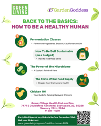 Back To The Basics: How To Be A Healthy Human