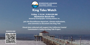 King Tides Watch 2024