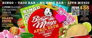 3rd Annual Bingo de Mayo Fundraiser for Saving Gracie!