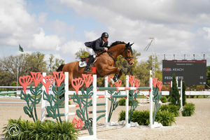 Show Jumping Prix at TerraNova Equestrian Center