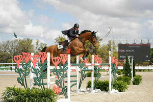 Show Jumping Prix at TerraNova Equestrian Center