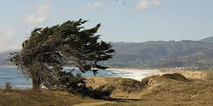 Easy Walk at Wavecrest