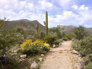 History of the White Tank Mountains