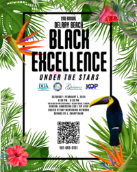 An Evening of Black Excellence Under the Stars