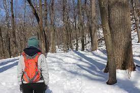 Full Moon Walk at Kettle Creek