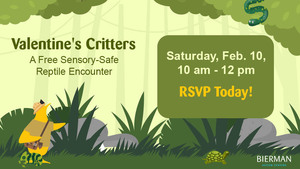 Valentine's Critters: A Sensory-Safe Reptile Encounter
