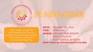 Fundraiser for the Anshara Institute of Accelerated Healing