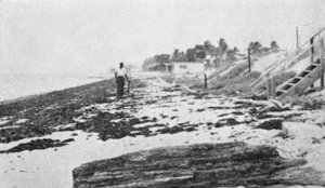 OLLI - FAU Lecture Series: Delray Beach’s Desegregation Story